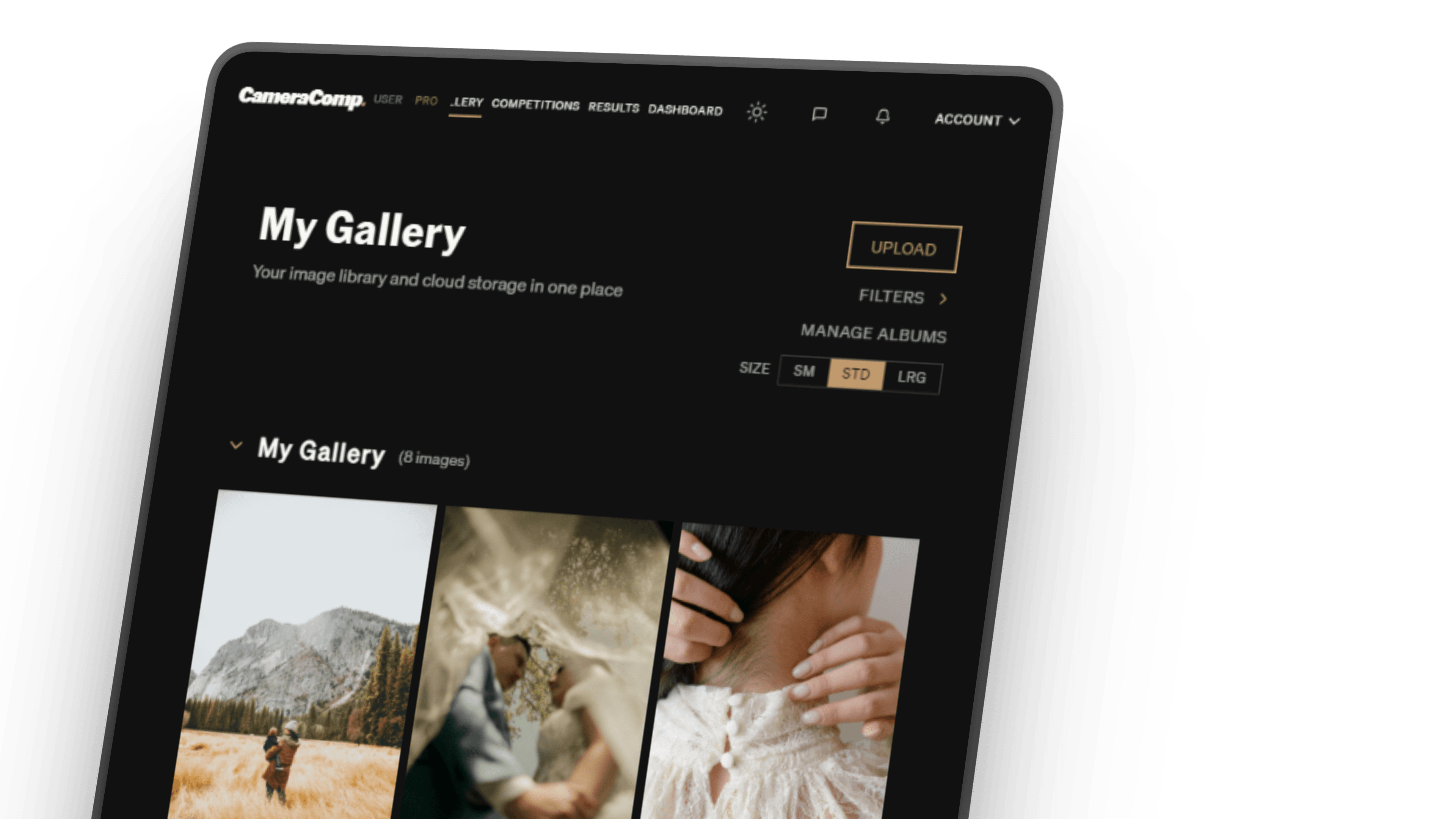Member gallery view on tablet — cinematic angle
